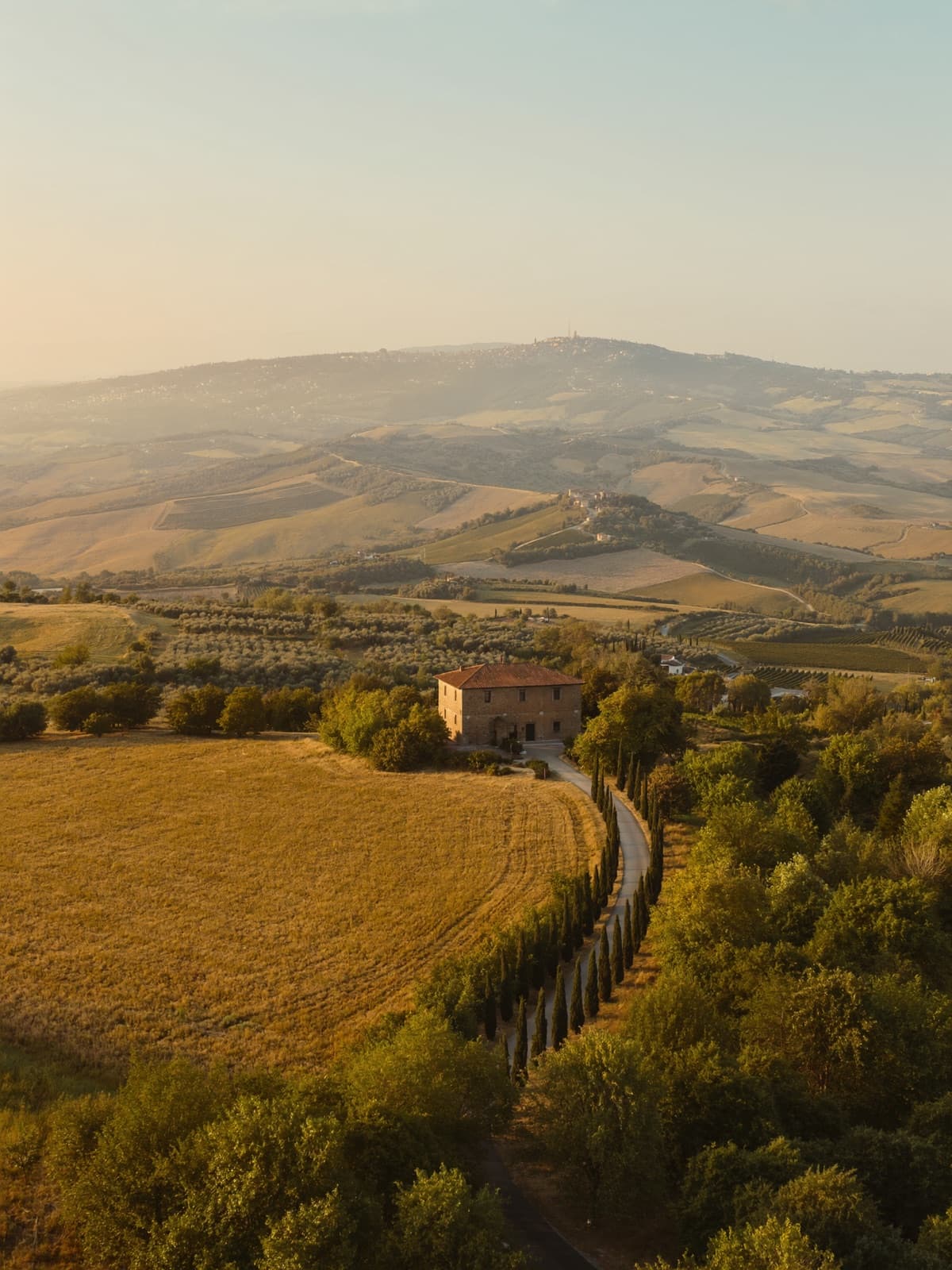 A terracotta-roofed Tuscan farmhouse at the end of a cypress-lined drive above vineyards