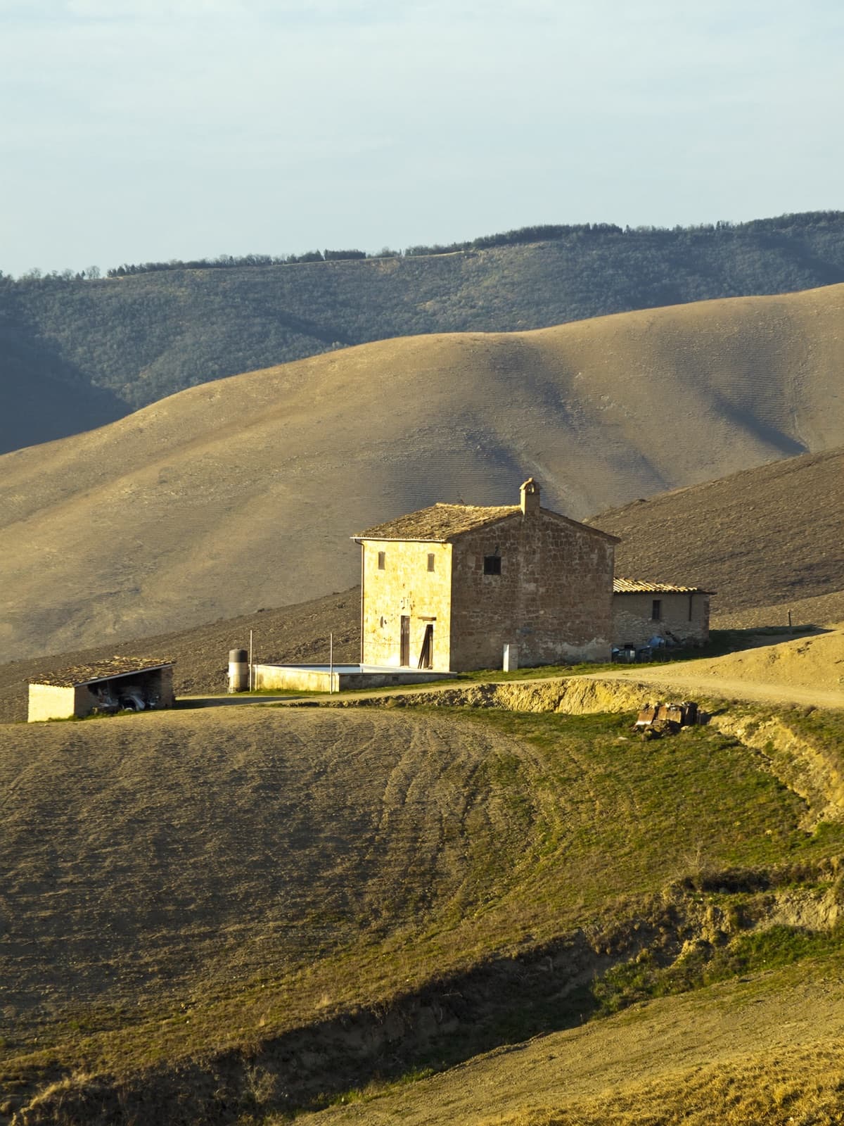 Tuscan Hills -- Asciano, Siena